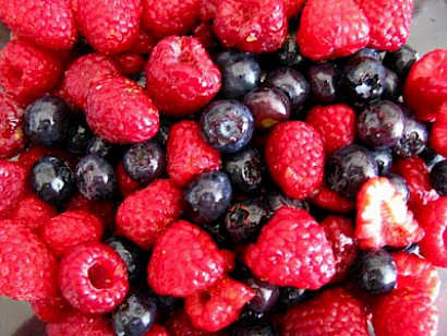 Die süßesten Früchte …