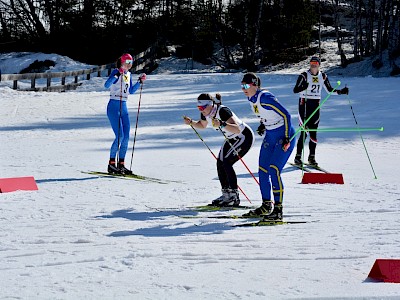 Erfolgreiche Tiroler Staffelmeisterschaft für den KSC in Seefeld! 