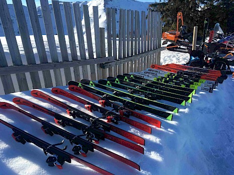 KSC Alpinkinder testen Ski