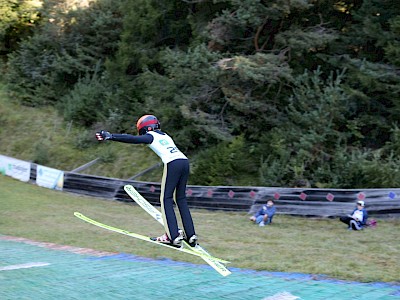 Erfolgreiches Wochenende für Springer Nachwuchs