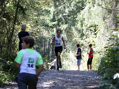 Erfolgreiches Wochenende für Springer Nachwuchs