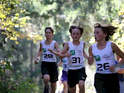 Erfolgreiches Wochenende für Springer Nachwuchs