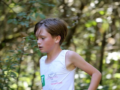 Erfolgreiches Wochenende für Springer Nachwuchs