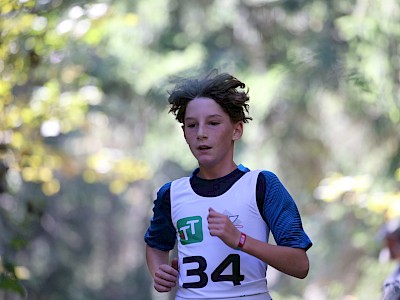 Erfolgreiches Wochenende für Springer Nachwuchs