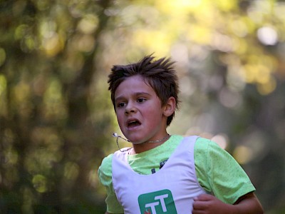 Erfolgreiches Wochenende für Springer Nachwuchs