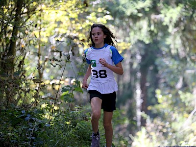 Erfolgreiches Wochenende für Springer Nachwuchs