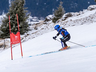 Heimsieg zum Auftakt der Virtus Open