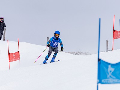 Heimsieg zum Auftakt der Virtus Open