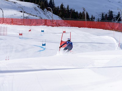 Frankreich und Österreich geben den Ton an