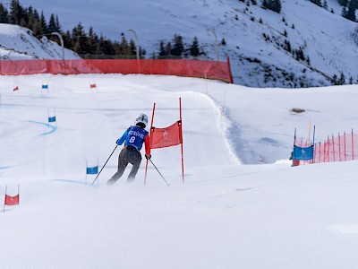 Frankreich und Österreich geben den Ton an