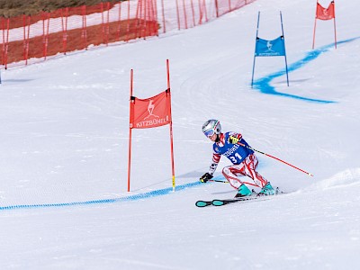 Frankreich und Österreich geben den Ton an
