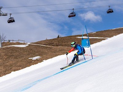 Frankreich und Österreich geben den Ton an