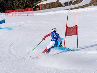 Frankreich und Österreich geben den Ton an