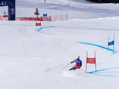 Frankreich und Österreich geben den Ton an