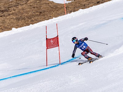Frankreich und Österreich geben den Ton an