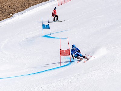 Frankreich und Österreich geben den Ton an