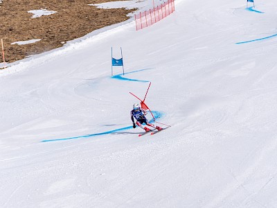 Frankreich und Österreich geben den Ton an
