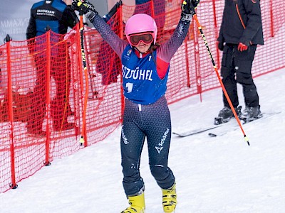 Frankreich und Österreich geben den Ton an