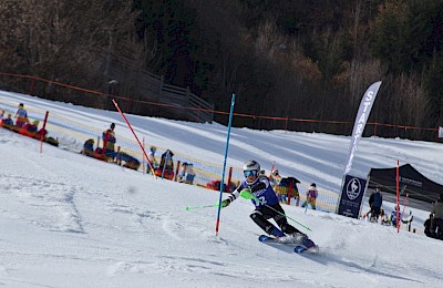 Bezirksmeisterschaft am Ganslernhang