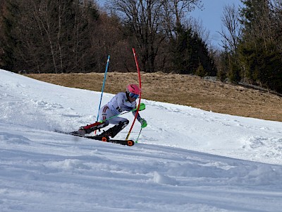 Bezirksmeisterschaft am Ganslernhang
