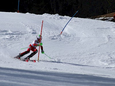Bezirksmeisterschaft am Ganslernhang