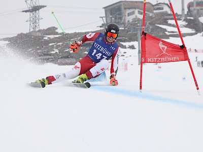 PREMIERE FÜR DIE K.S.C. RENNSPORTFAMILIE - Alpine Clubmeisterschaft auf der neuen Trainingspiste am Horn